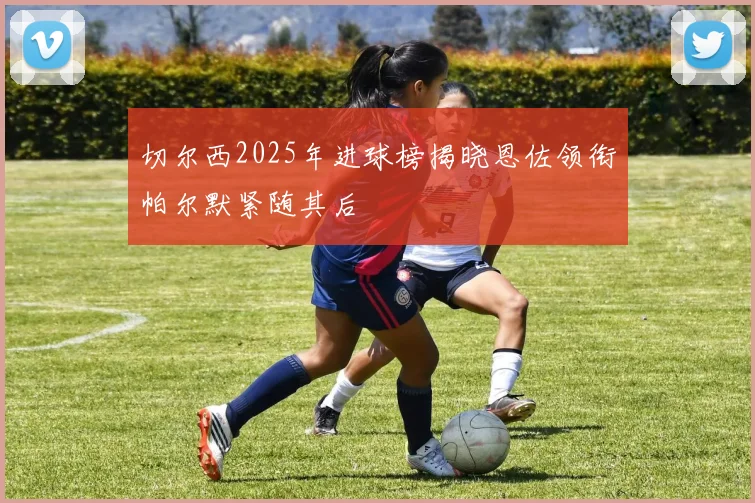 切尔西2025年进球榜揭晓恩佐领衔帕尔默紧随其后